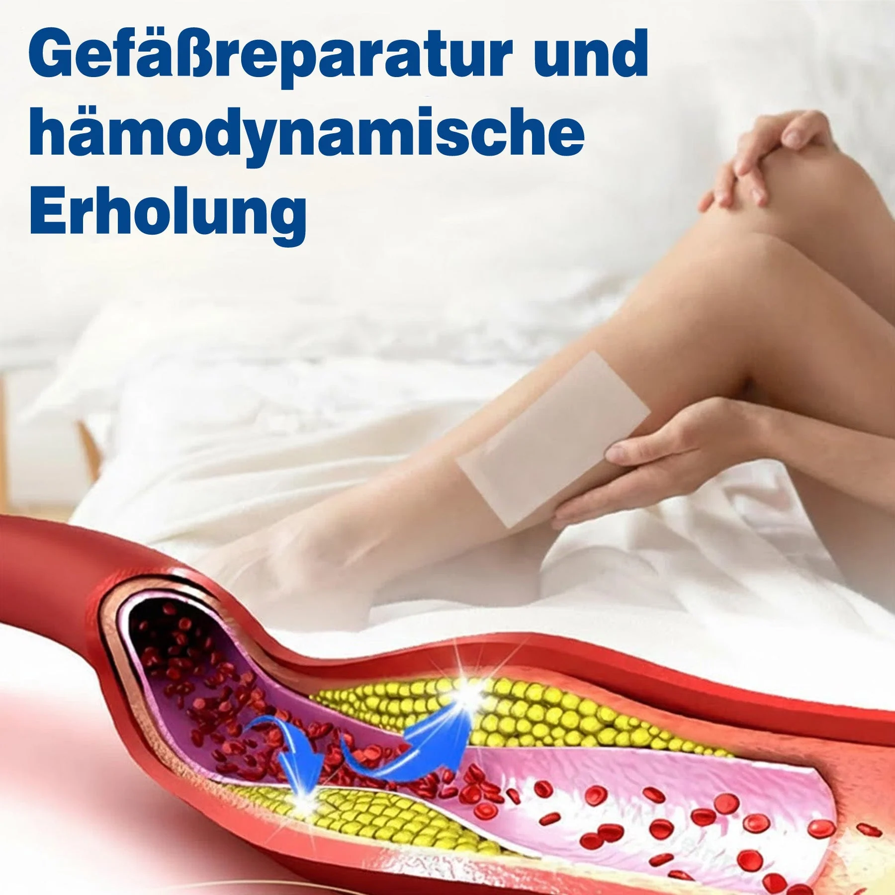 Vorschaubild 6