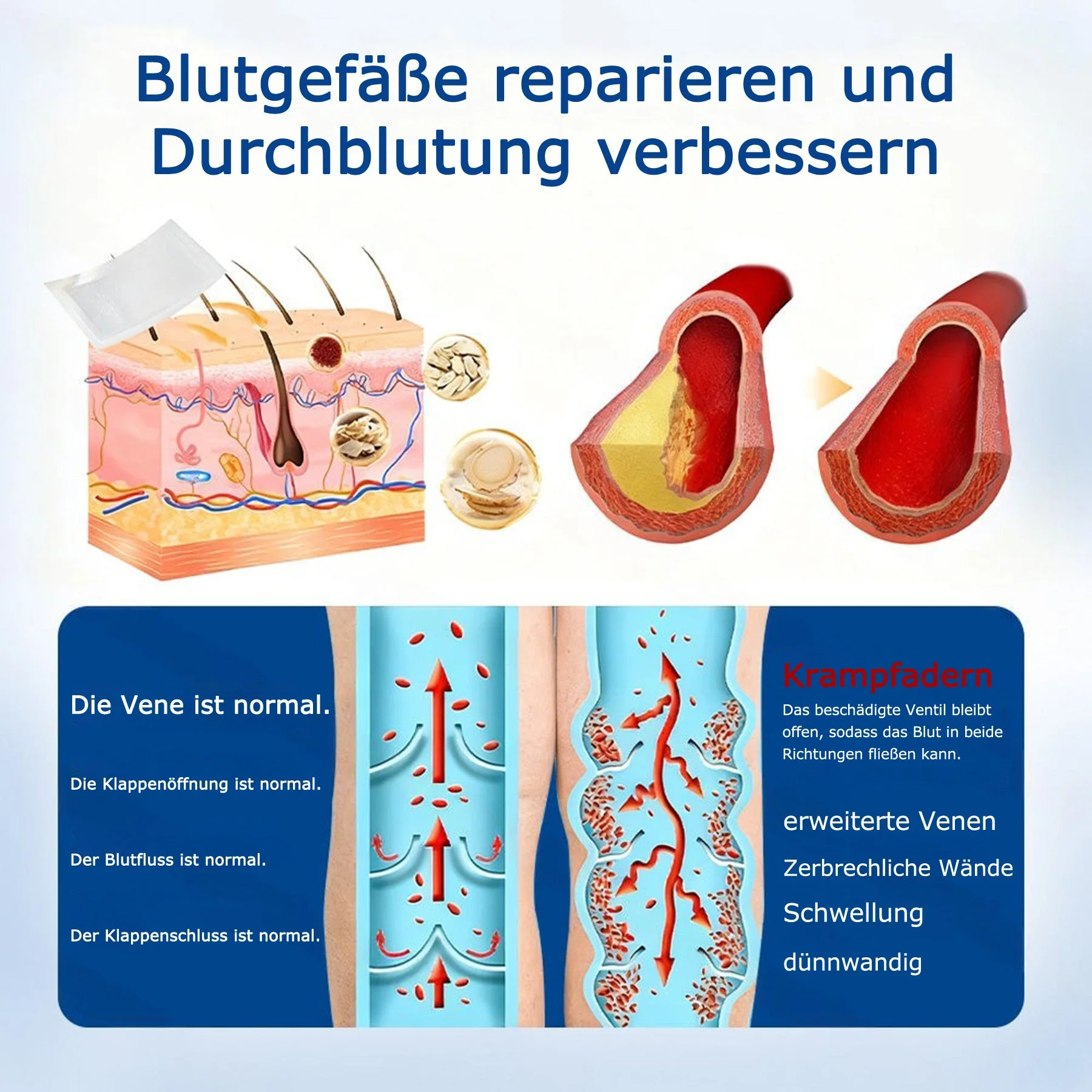 Vorschaubild 8