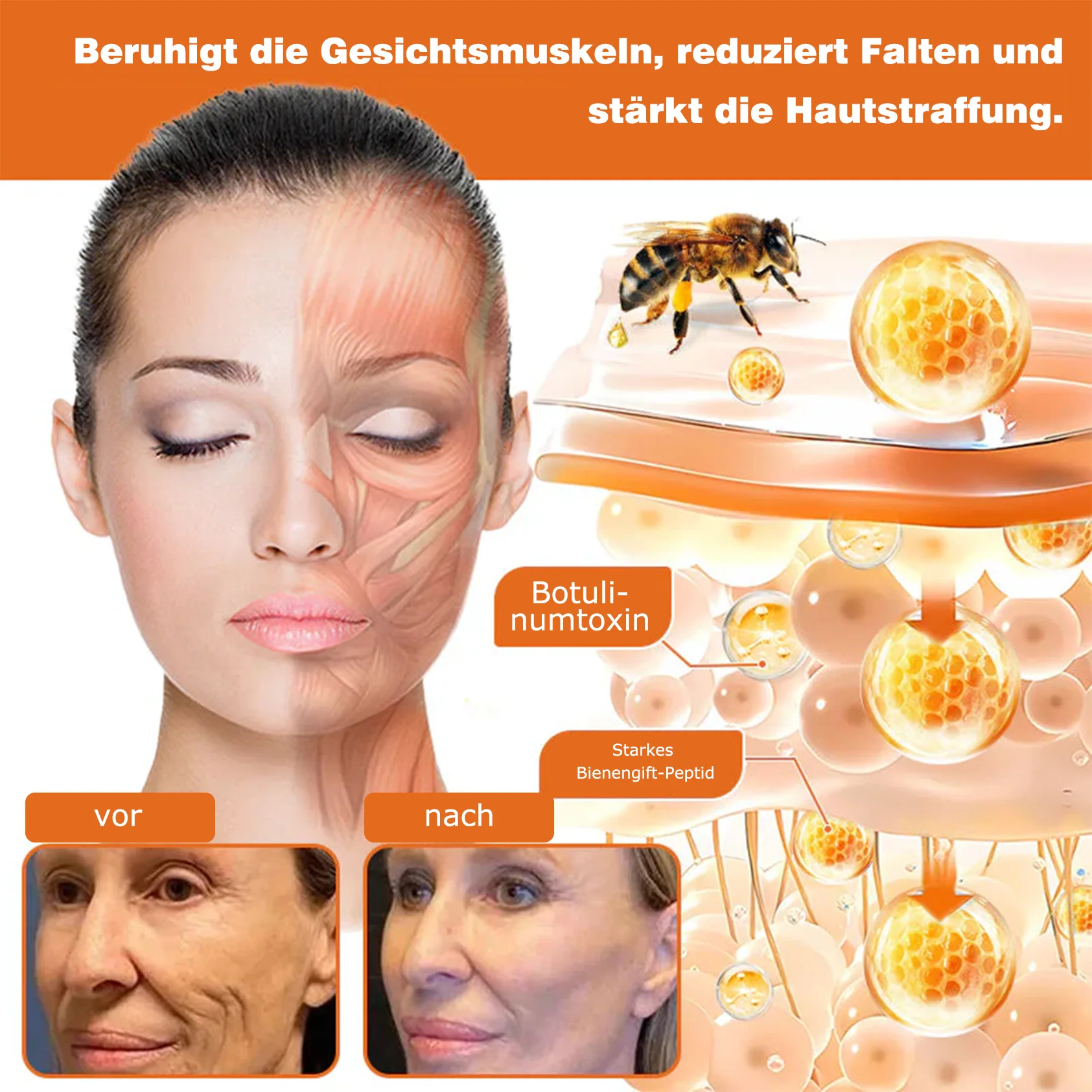 Vorschaubild 11