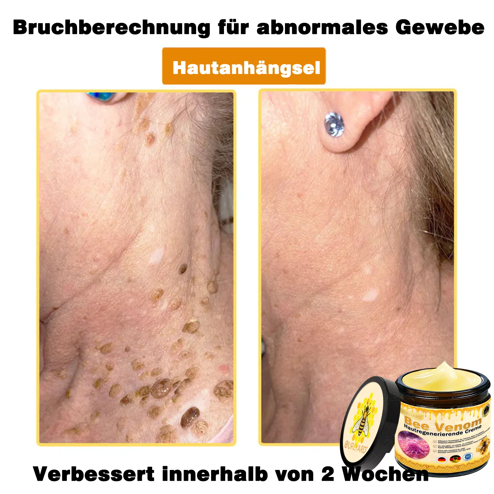 Vorschaubild 21
