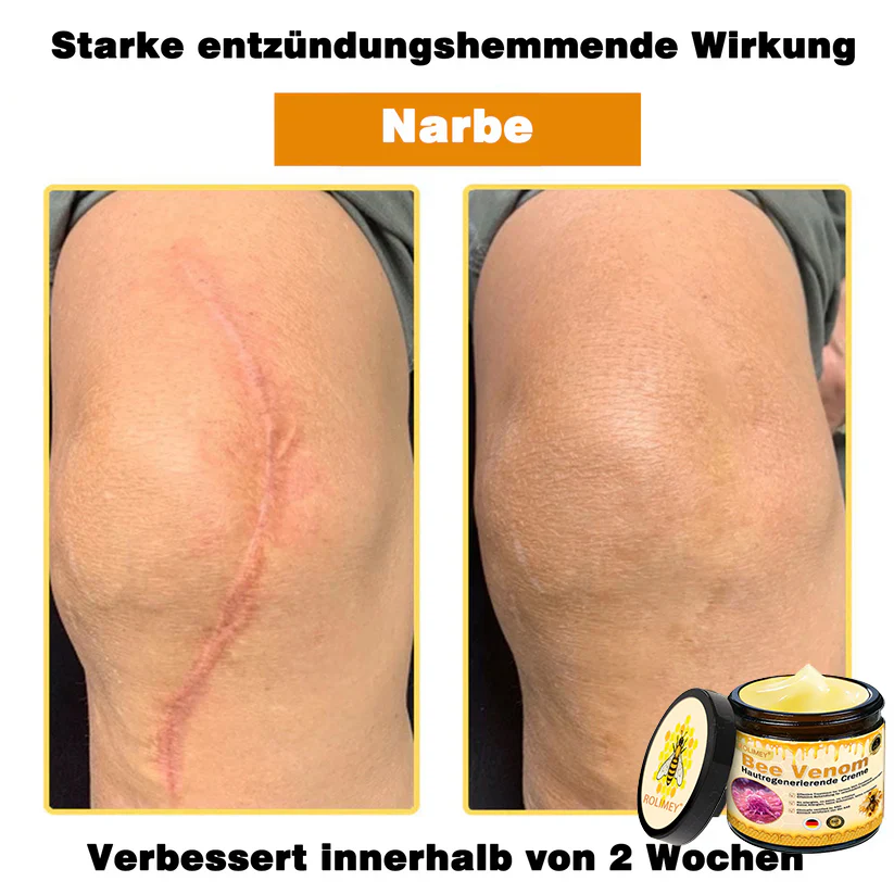 Vorschaubild 15